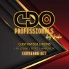 CDO Professionals logo - Similar company to Immi Response
