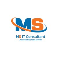 MS IT Consultant logo - Similar company to Msit Consulting