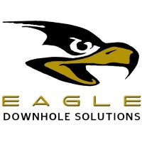Eagle Downhole Solutions, LLC logo - Similar company to B&R Tools And Service