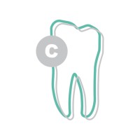 Ca's Dentista logo - Similar company to Salcodent