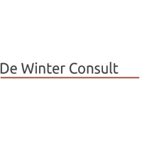 De Winter Consult logo - Similar company to Savvy Training