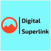 Digital SuperLink logo - Similar company to Zz Rooter