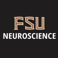Fsu Program In Neuroscience