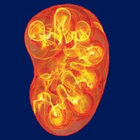 Duke Kidney logo - Similar company to New York County Psychiatric Society