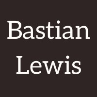 Bastian Lewis - Online Advertising Agency logo - Similar company to Mathison Digital