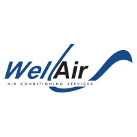 Wellair Services Ltd logo - Similar company to Novaerus Sverige