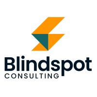 Blindspot Consulting logo - Similar company to We Think Different