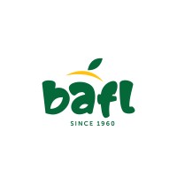 BAFL Pvt.Ltd logo - Similar company to St Solutions