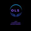 OLS CONSULTING RECRUTEMENT 974 logo - Similar company to Tone Excel Sdn Bhd