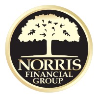 Norris Financial Group logo - Similar company to Flagship Commercial