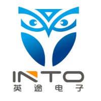 Intosemi Electronic Technology