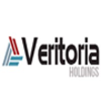 Veritoria Holdings logo - Similar company to Playvig