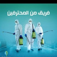 شركة تعقيم منازل بجدة 0560062524 وتعقيم الشقق والفلل والمكاتب والشركات ومساجد وفنادق ضدفيروس كورونا بجدة logo - Similar company to Kaf Development قاف التطويرية