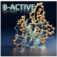 B-ACTIVE HORIZON MSCA Doctoral Network logo - Similar company to Orgestra