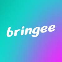 Bringuin Solutions logo - Similar company to Valtavalo Oy