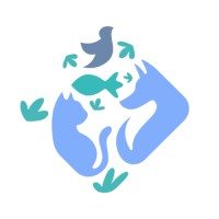 DojiPet logo - Similar company to Decimetr