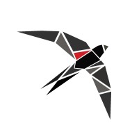 Black Swift Company logo - Similar company to Blackswift