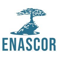 Enascor Capital logo - Similar company to Resolution Partners