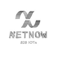 NETNOW logo - Similar company to Inithec