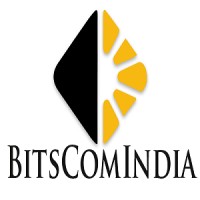 BitsComIndia Technologies logo - Similar company to Intelli-Payroll