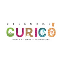 Descubre Curicó logo - Similar company to Daem Curico