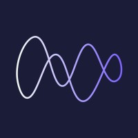 Metric Mindset logo - Similar company to Silicon Mingle Manchester