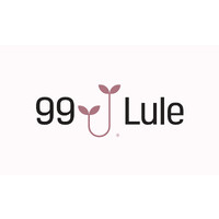 99 LULE logo - Similar company to Bhtech Solutions