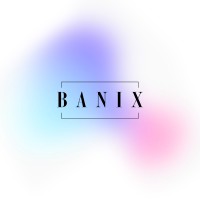 Banix Studio logo - Similar company to Fishtree Group