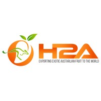 H2A Trading International Pty Ltd logo - Similar company to Pistachio.De