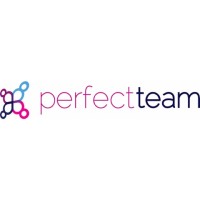 The Perfect Team logo - Similar company to Aswin Ltd