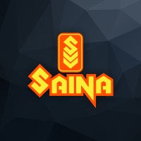 Saina Video Vision logo - Similar company to Evoseek Global