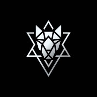 Dogstar Digital logo - Similar company to Hayan Advanced Technology