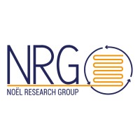 Noël Research Group logo - Similar company to Syncat Lab