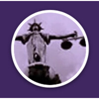 National Judicial Conduct And Disability Law Project, Inc.
