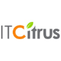 IT Citrus MX logo - Similar company to Antídoto