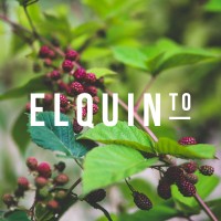 El Quinto