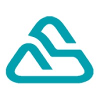 Savvy Accounting logo - Similar company to Boodl World