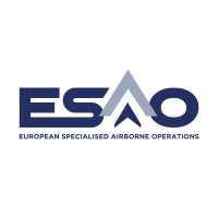 European SAO Ltd logo - Similar company to 2Excel Group
