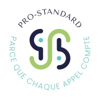 Pro Standard logo - Similar company to 🩺 Vpn - Informatique En {Santé}