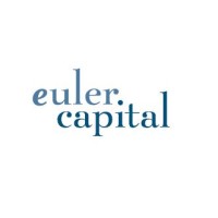 Euler Capital logo - Similar company to Technical Operations Research Consulting