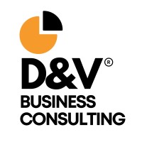 D&V Business Consulting logo - Similar company to Icmi