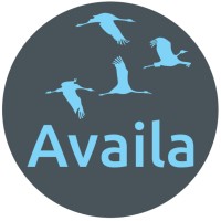 Availa logo - Similar company to Liderfy