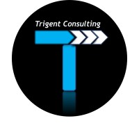 Trigent Consulting LLC logo - Similar company to Trigent Solutions Inc.