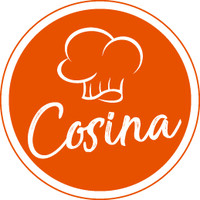 Cosina logo - Similar company to Cosina