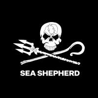 Sea Shepherd Italia logo - Similar company to Enblock