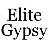 Elite Gypsy Corp logo - Similar company to Gypsy Divers