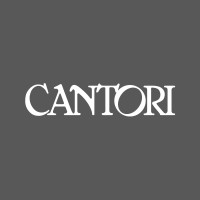 Cantori S.p.A. logo - Similar company to Cedar Mountain Software