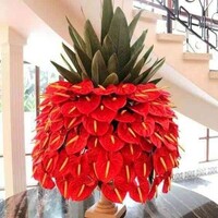 Best Balloon Decoractors logo - Similar company to Bubblegum Balloons