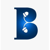 Brandingnuts logo - Similar company to Digital Mojo - Branding And Digital Marketing Agency In Hyderabad