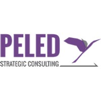 Peled Strategic Consulting logo - Similar company to Deepsolutions